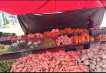 Jornada de alimentación para el adulto mayor se realizó con éxito en el CEBAC Jornada de alimentación para el adulto mayor se realizó con éxito en el CEBAC