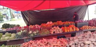 Jornada de alimentación para el adulto mayor se realizó con éxito en el CEBAC