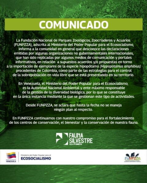  Traslado de hipopótamos de hacienda de Escobar a Venezuela es desmentido