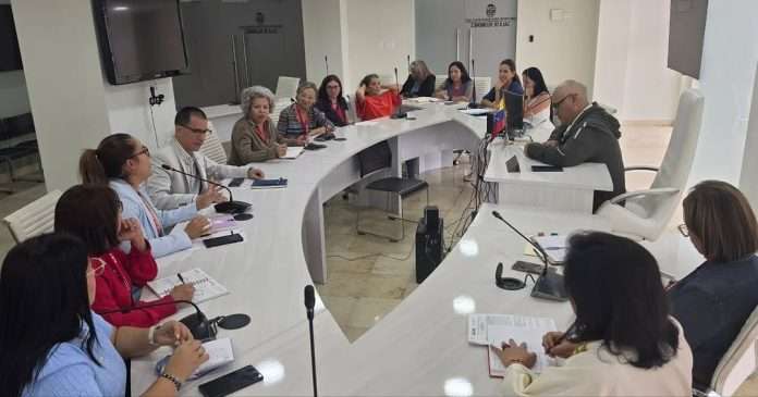 Planes de protección materna son evaluados por Asamblea Nacional y MinSalud Planes de protección materna son evaluados por Asamblea Nacional y MinSalud