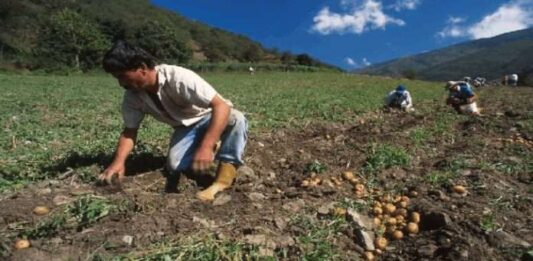Sostienen mesa de trabajo para optimizar el sector agroalimentario