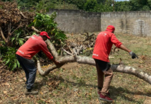 Recolectan más de mil 900 toneladas de desechos sólidos