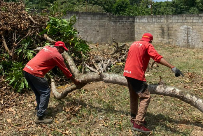 Recolectan más de mil 900 toneladas de desechos sólidos