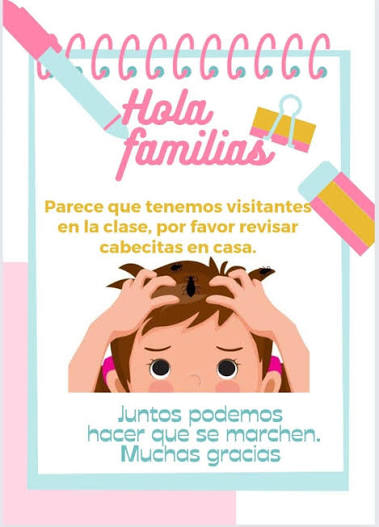 cabeza-campaña escolar anti piojosMarhisela