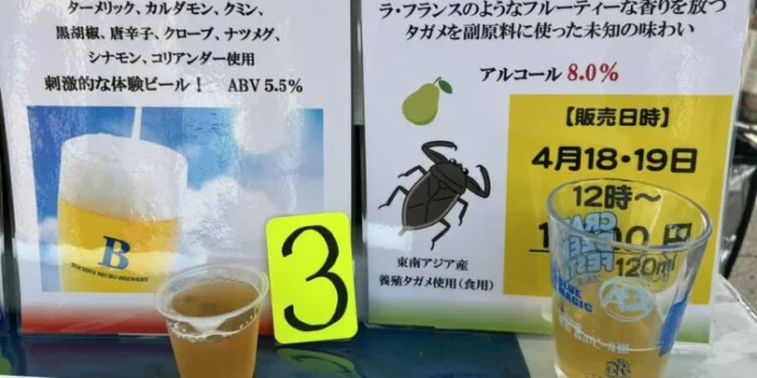 Cerveza de chinches acuáticos gigantes causo revuelo en Japón