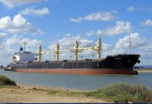 Detenido en Emiratos Árabes Unidos ligado a estafa contra Pdvsa Detenido en Abu-Dhabi ligado con estafa a Pdvsa