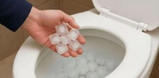 Hielo en el inodoro