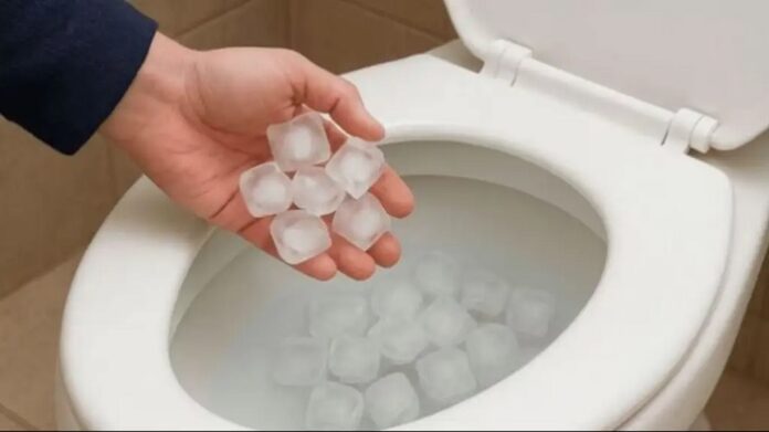 Hielo en el inodoro