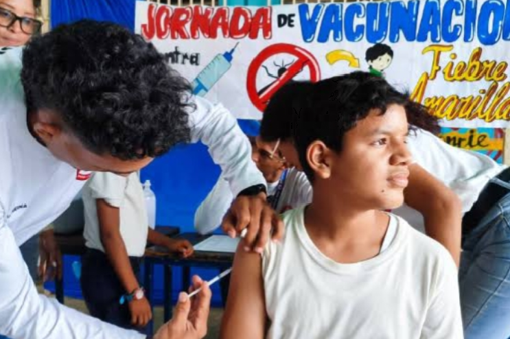inmunización-vacunación-escolares-fiebre amarilla inmunización-vacunación-escolares-fiebre amarilla