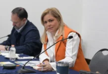 "injerencia extranjera en México"