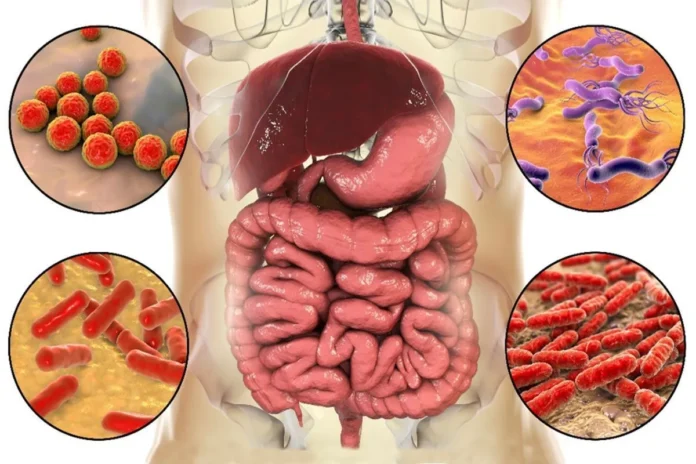 cebolla-cancer-colorrectal