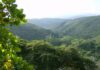 Presidenta (E) celebró la extensión del Parque Nacional Terepaima