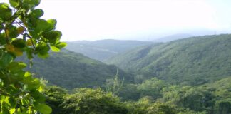Presidenta (E) celebró la extensión del Parque Nacional Terepaima