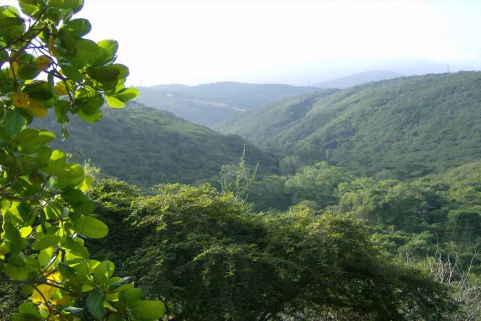 Presidenta (E) celebró la extensión del Parque Nacional Terepaima Presidenta (E) celebró la extensión del Parque Nacional Terepaima