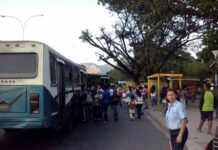 pasaje indexado al dólar BCV