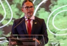 Activan el sistema digital “Ventanilla Verde” para potenciar el Motor Forestal