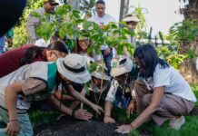 Presidenta (E) Delcy Rodríguez activa el Plan Nacional Chuquisaca para la restauración ecológica y climática del país