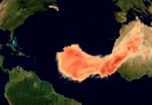 ¿Cuál es el impacto del polvo del Sahara en nuestra salud?