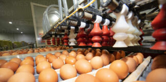 venezuela-consejo-exportacion