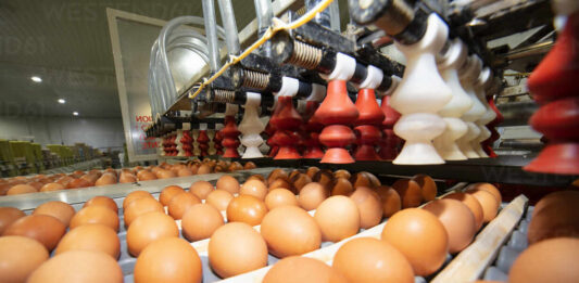 venezuela-consejo-exportacion