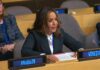 Venezuela ante la ONU: “la energía no es una simple mercancía”