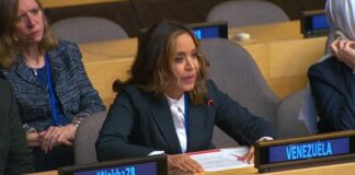 Venezuela ante la ONU: “la energía no es una simple mercancía”