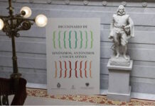 RAE lanza su primer diccionario de sinónimos con 255 mil términos La RAE