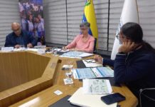Gabinete Sectorial activa líneas estratégicas de salud y reforestación en el país