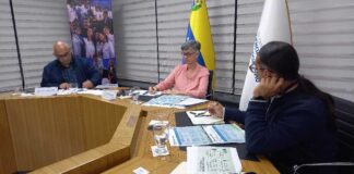 Gabinete Sectorial activa líneas estratégicas de salud y reforestación en el país