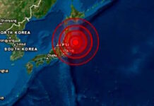 Sismo en japon