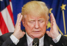 El pelón de Trump | Juan Carlos Amorós El pelón de Trump