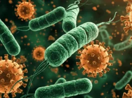 Descubre cuáles son los 10 virus más peligrosos del mundo