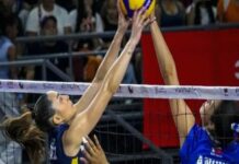 Liga Profesional de Voleibol Femenina de Venezuela