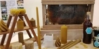 El Zulia se enfoca en impulsar la apicultura artesanal El Zulia se enfoca en impulsar la apicultura artesanal