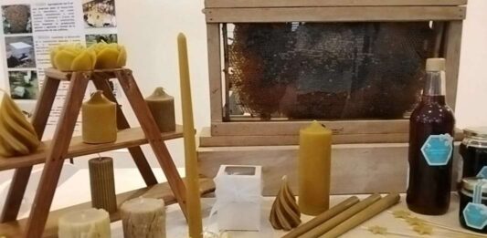 El Zulia se enfoca en impulsar la apicultura artesanal