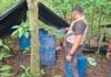 Desmantelan campamento clandestino e inhabilitan dos aeronaves en Apure Desmantelan campamento clandestino