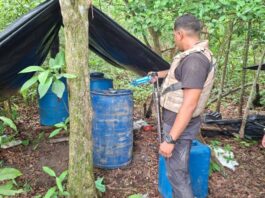 Desmantelan campamento clandestino e inhabilitan dos aeronaves en Apure Desmantelan campamento clandestino