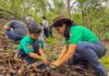 Valencia: Plan Nacional de Reforestación Chuquisaca plantará 50 mil árboles