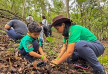 Valencia: Plan Nacional de Reforestación Chuquisaca plantará 50 mil árboles