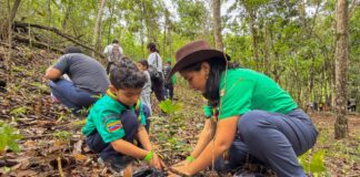 Valencia: Plan Nacional de Reforestación Chuquisaca plantará 50 mil árboles