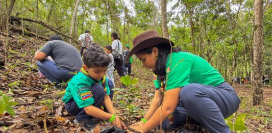 Valencia: Plan Nacional de Reforestación Chuquisaca plantará 50 mil árboles