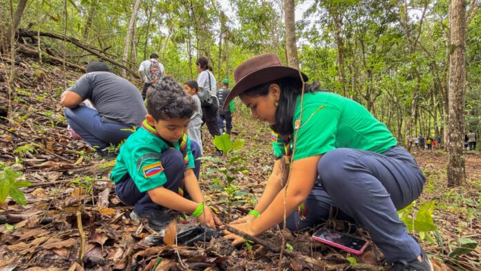 Valencia: Plan Nacional de Reforestación Chuquisaca plantará 50 mil árboles