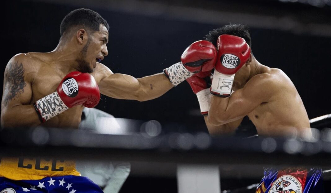 Boxeo