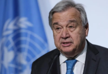 ONU urge acelerar transición energética global frente al cambio climático