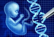 ADN de embriones humanos