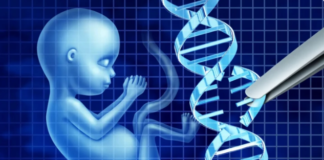 ADN de embriones humanos