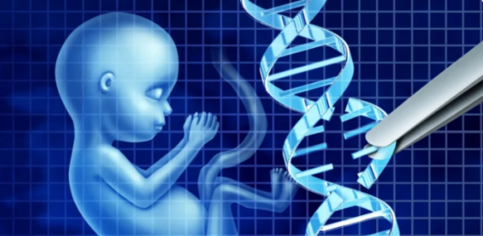 ADN de embriones humanos