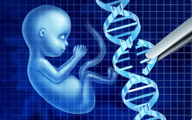 Científicos ADN de embriones humanos