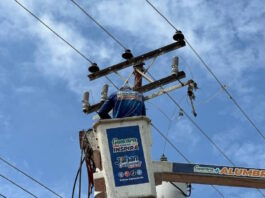 nuevos transformadores