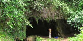 En Falcón existe un sistema de cuevas que son el corazón de la sierra falconiana Las cuevas de Acarite
